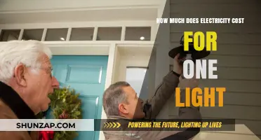 Understanding Your Energy Bill: The Cost of Lighting Your Home