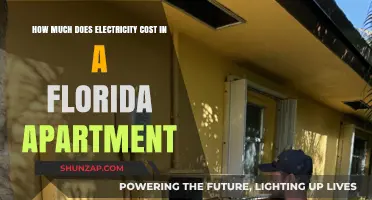 Decoding Florida Apartment Electricity Costs: A Comprehensive Guide