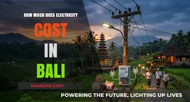 Exploring Bali's Electricity Costs: A Comprehensive Guide for Expats and Travelers