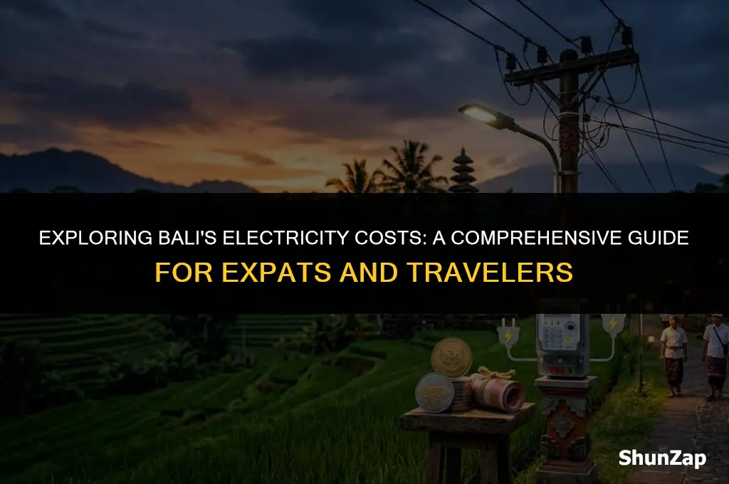 how much does electricity cost in bali
