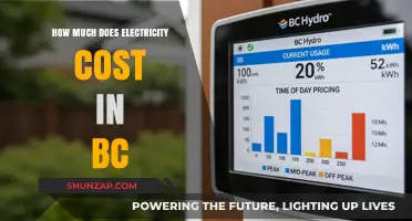 Understanding Electricity Costs in BC: A Comprehensive Guide
