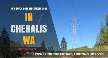Exploring Electricity Costs in Chehalis, WA: A Comprehensive Guide