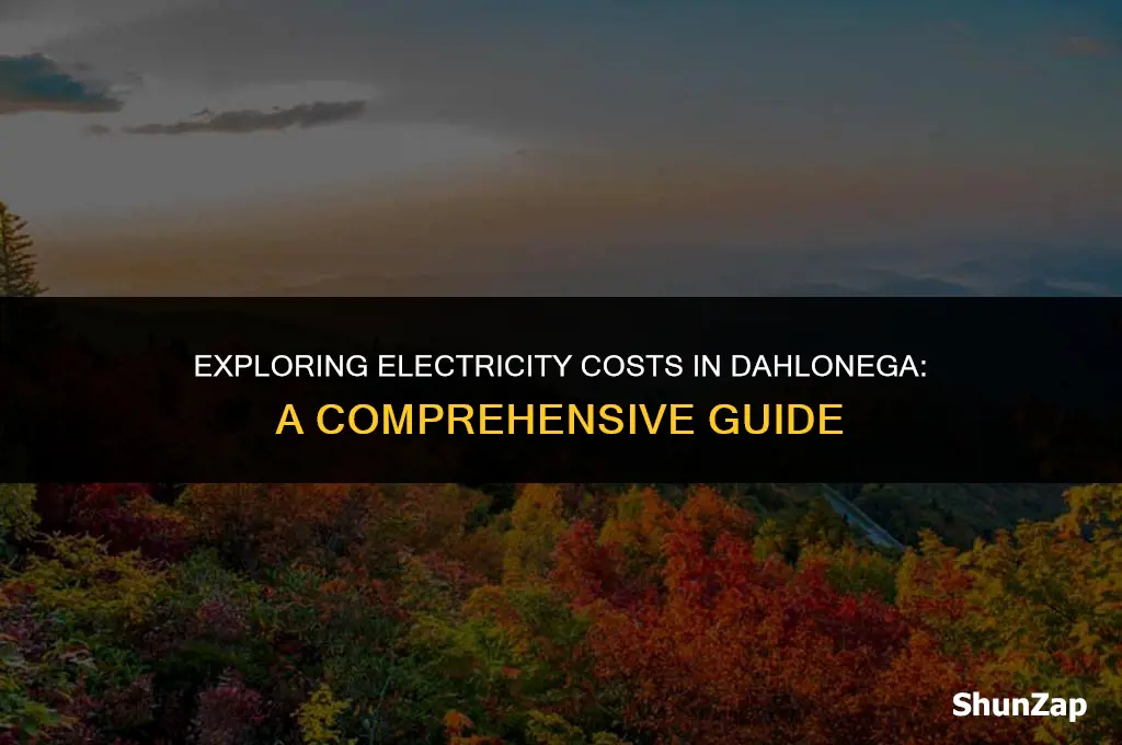 how much does electricity cost in dahlonega