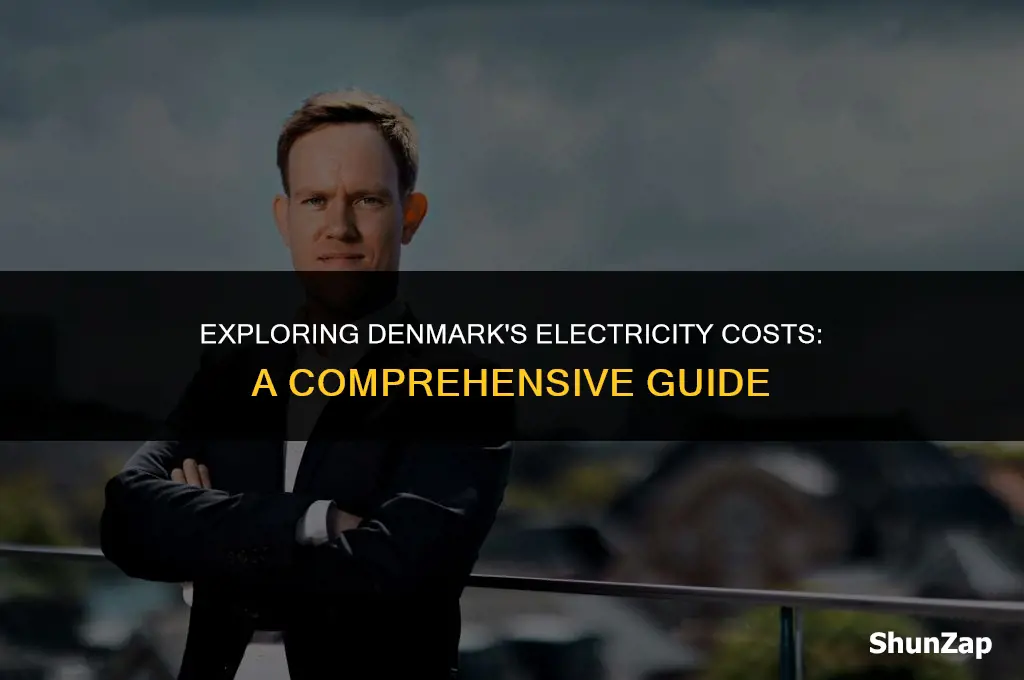 how much does electricity cost in denmark