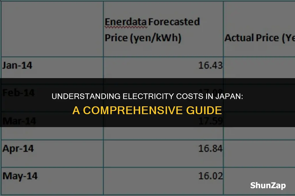 how much does electricity cost in japan
