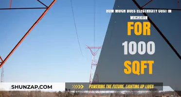 Exploring Michigan's Electricity Costs for a 1,000 Square Foot Home