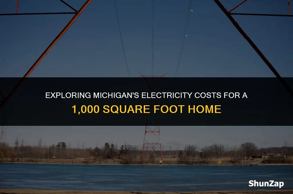 how much does electricity cost in michigan for 1000 sqft