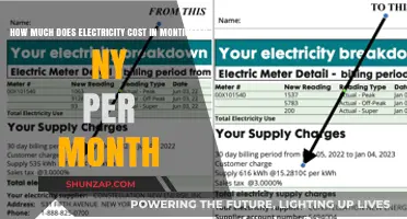Exploring Monthly Electricity Costs in Monticello, NY: A Comprehensive Guide