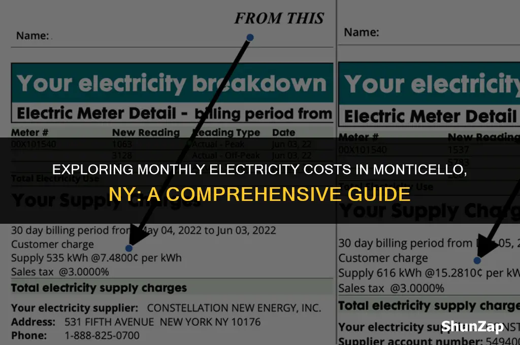 how much does electricity cost in monticello ny per month