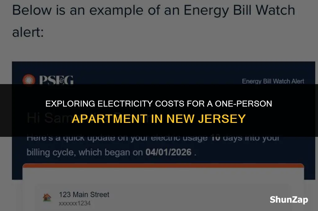 how much does electricity cost in nj one person apartment