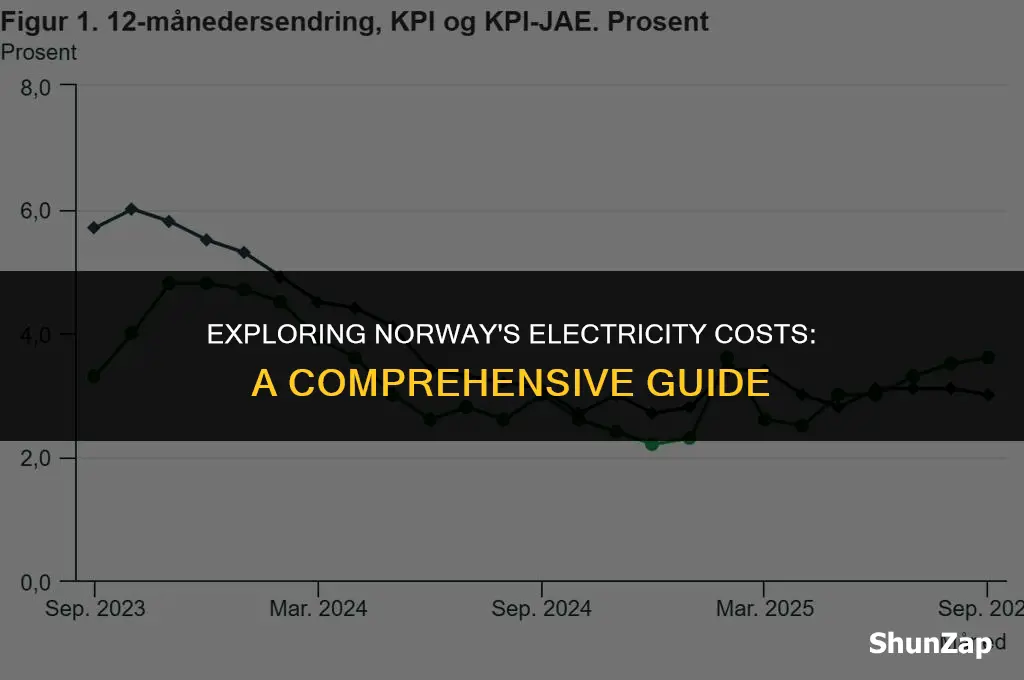 how much does electricity cost in norway