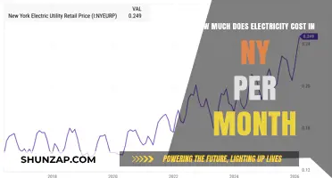 Understanding Monthly Electricity Costs in New York: A Comprehensive Guide