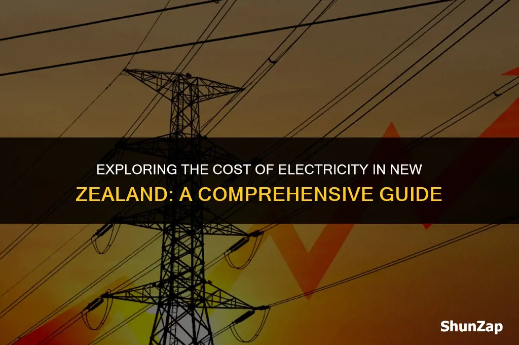 how much does electricity cost in nz