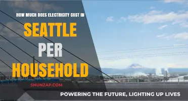 Seattle's Electricity Costs: A Household Breakdown