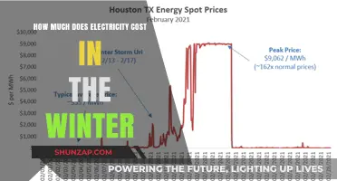 Winter Woes: Understanding the Impact of Cold on Your Electricity Bills