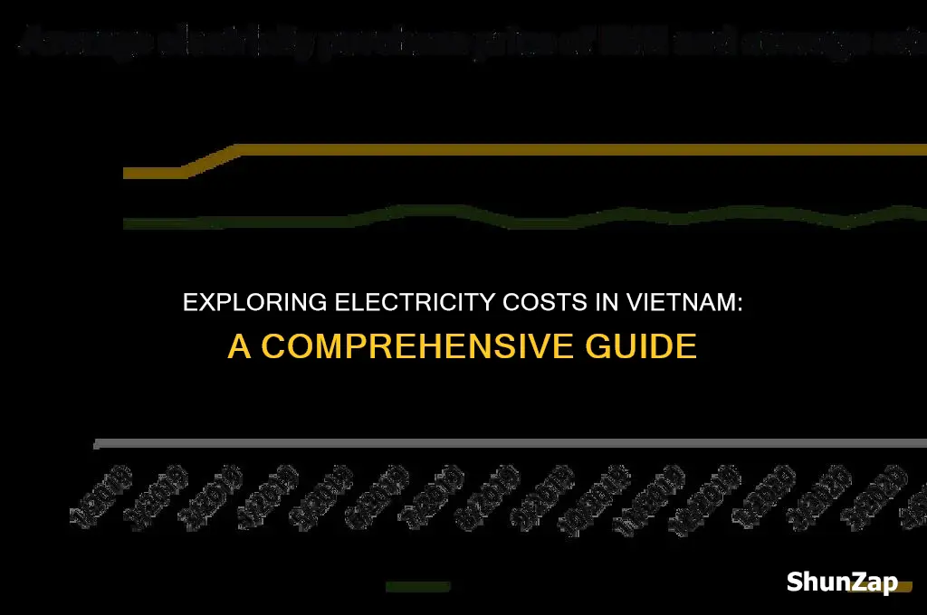 how much does electricity cost in vietnam