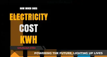 Understanding Electricity Costs: A Guide to kWh Pricing