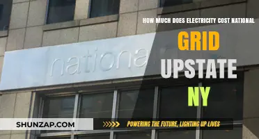 Exploring Electricity Costs: National Grid Upstate NY Insights