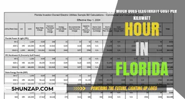 Understanding Florida's Electricity Costs: A Guide to Kilowatt-Hour Pricing