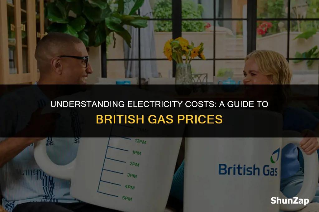 how much does electricity cost per kwh british gas
