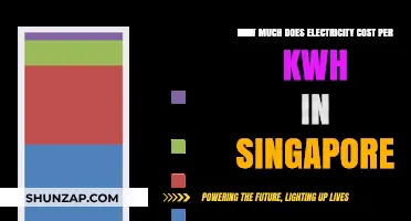 Understanding Electricity Costs in Singapore: A Comprehensive Guide