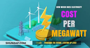 Understanding Electricity Costs: A Guide to Megawatt Pricing