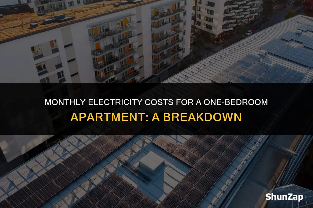 how much does electricity cost per month 1 bedroom apartment