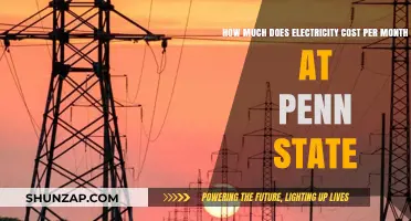 Decoding Penn State's Monthly Electricity Expenses: A Student's Guide