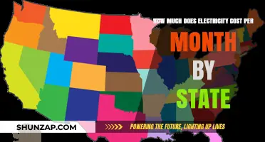 State-by-State Guide: Understanding Your Monthly Electricity Expenses