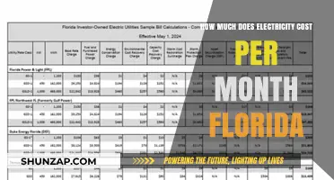Florida's Monthly Electricity Costs: A Comprehensive Breakdown