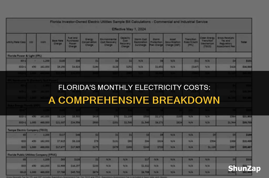 how much does electricity cost per month florida