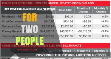 Decoding Monthly Electricity Costs for a Duo: A Comprehensive Guide