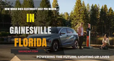 Understanding Monthly Electricity Costs in Gainesville, Florida