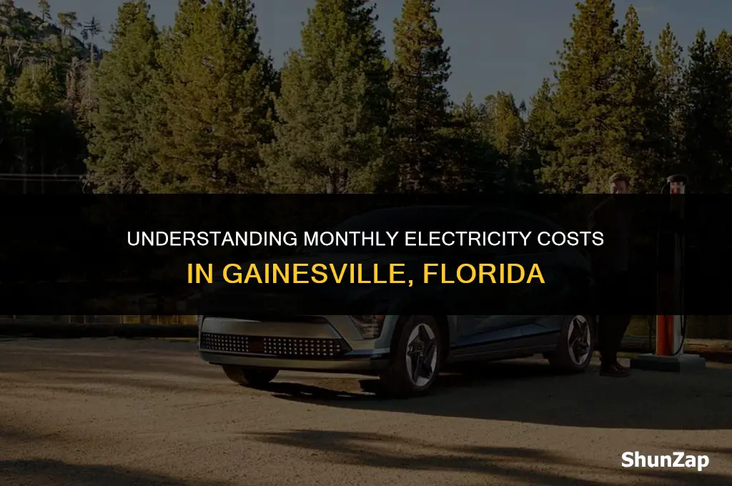how much does electricity cost per month in gainesville florida