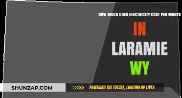 Exploring Laramie, WY: A Breakdown of Monthly Electricity Costs