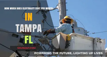Tampa's Monthly Electricity Costs: A Comprehensive Breakdown