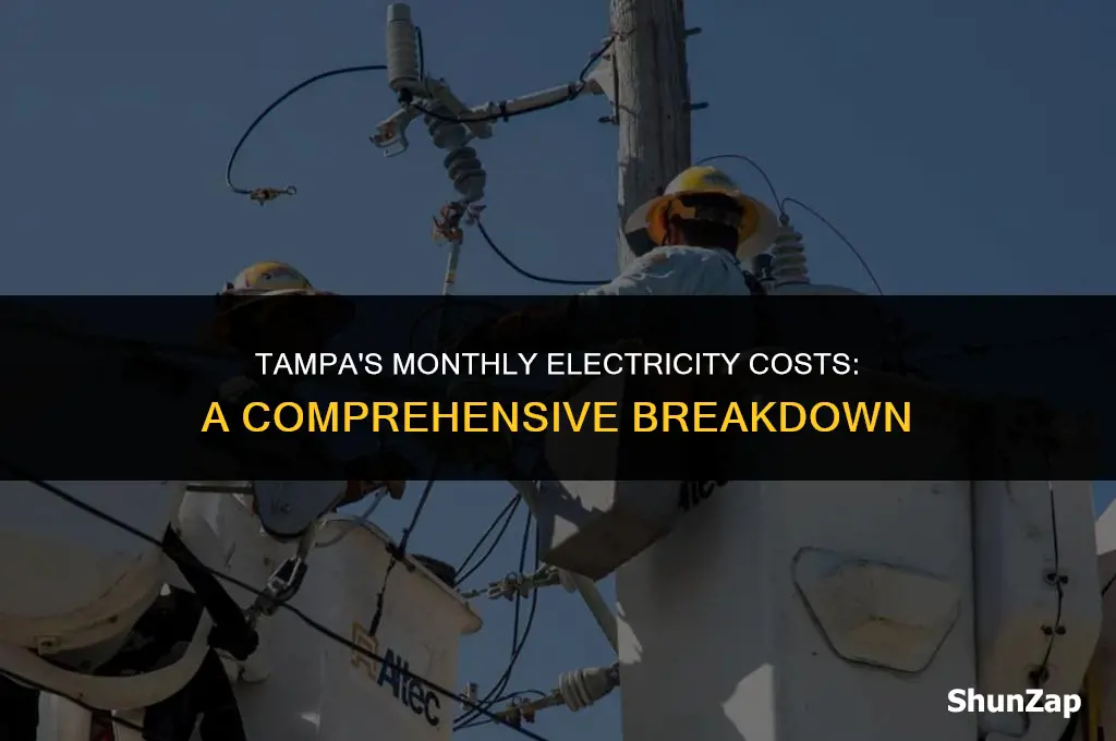 how much does electricity cost per month in tampa fl