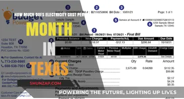 Understanding Monthly Electricity Costs in Texas: A Comprehensive Guide