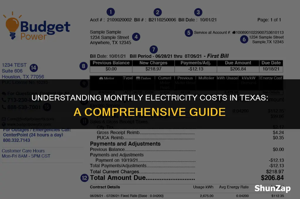 how much does electricity cost per month in texas