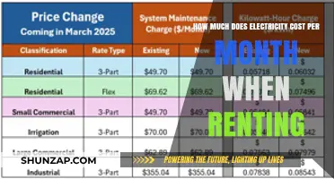 Understanding Monthly Electricity Costs for Renters: A Comprehensive Guide