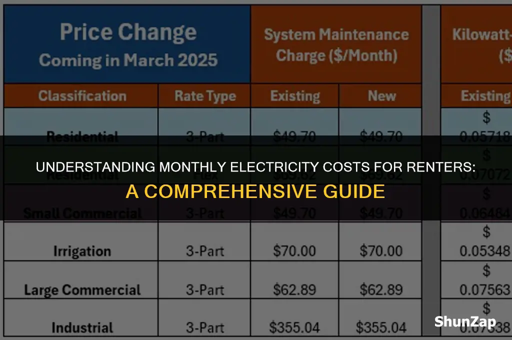 how much does electricity cost per month when renting