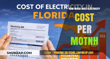 Understanding Your Monthly Electricity Expenses: A Comprehensive Guide
