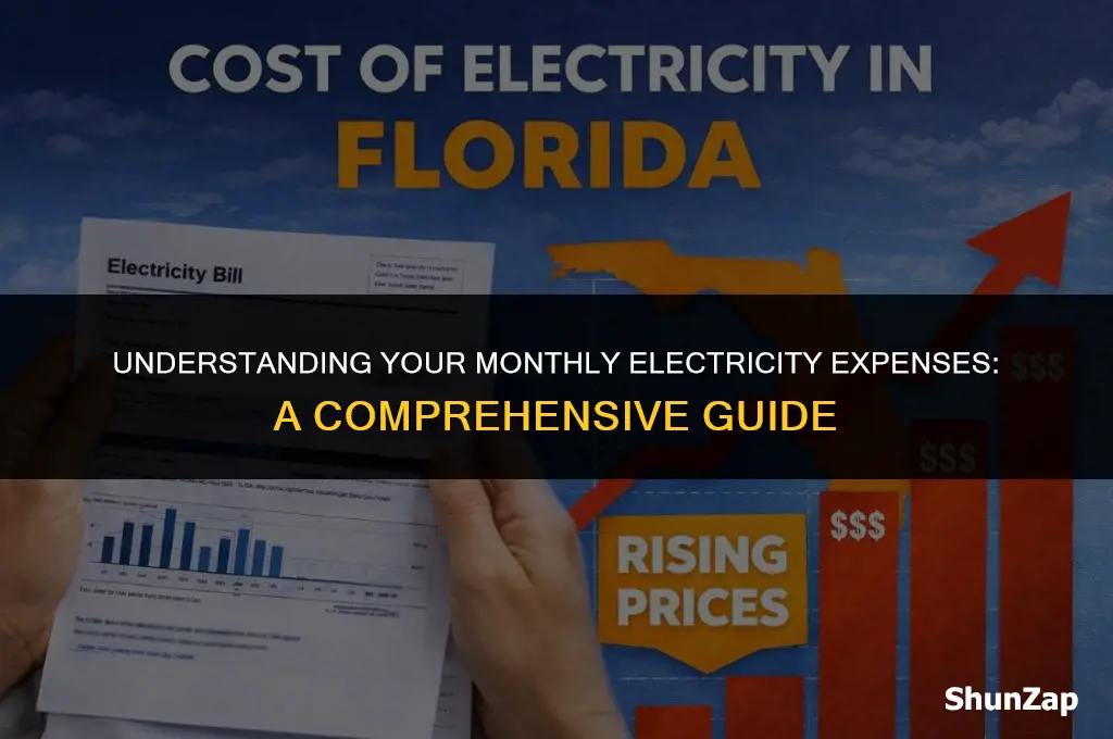 how much does electricity cost per motnh