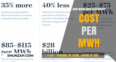 Understanding Electricity Costs: A Guide to Pricing Per MWh