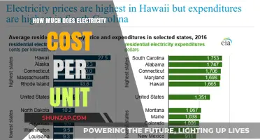Understanding Electricity Costs: A Breakdown of Unit Pricing