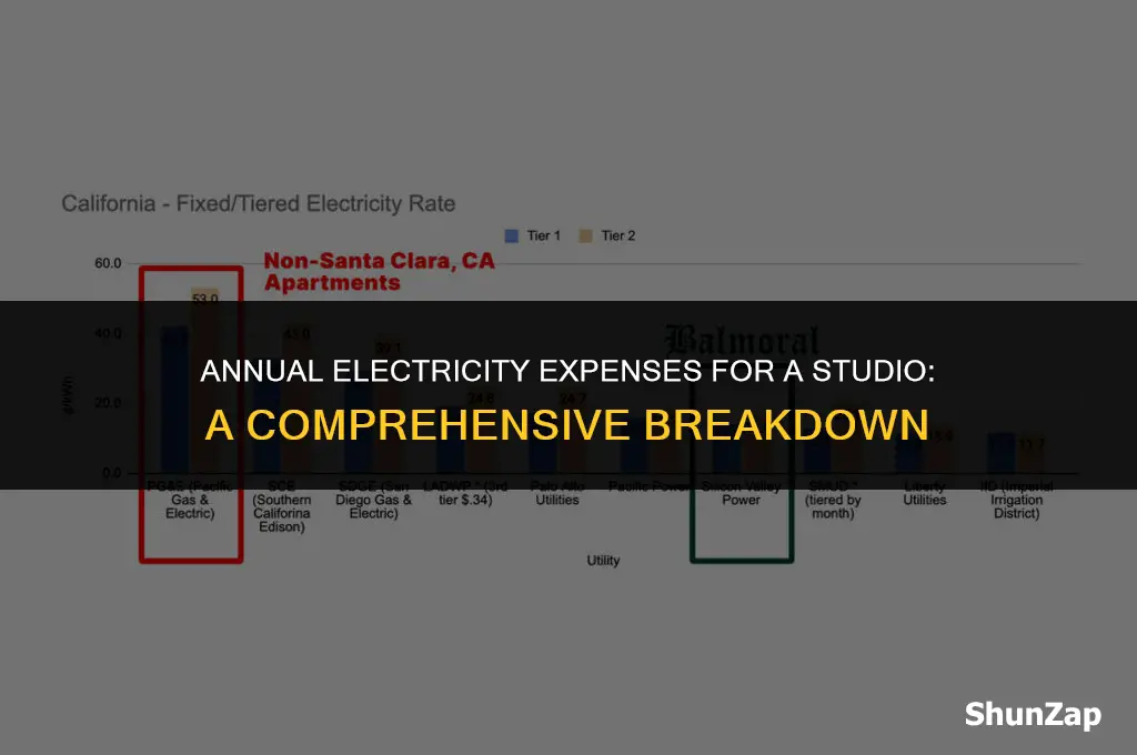 how much does electricity cost per year for a studio