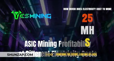 Decoding the Costs: Electricity Expenses for Mining 25 MH/s