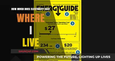 Understanding Your Local Electricity Costs: A Comprehensive Guide