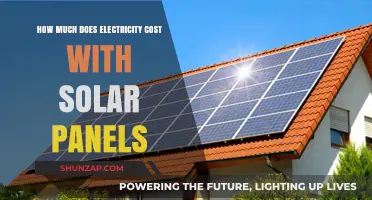 Unleashing Solar Power: A Cost-Effective Journey to Sustainable Electricity