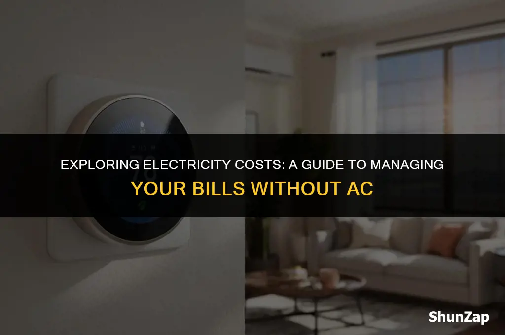 how much does electricity cost without ac